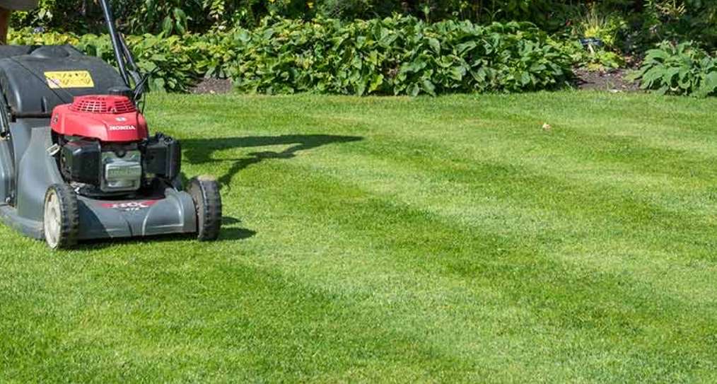 Lawn Mowing