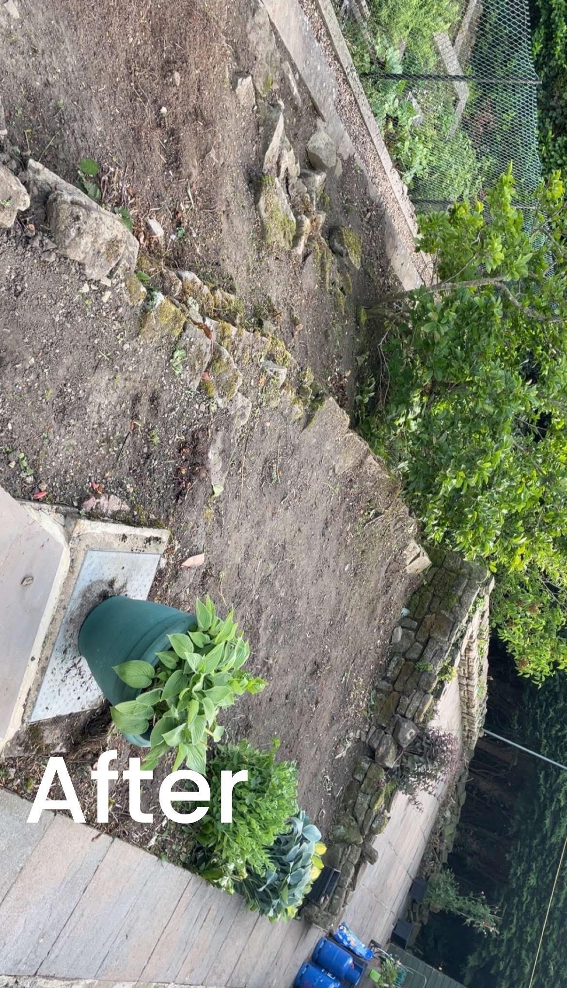 Garden Clearance