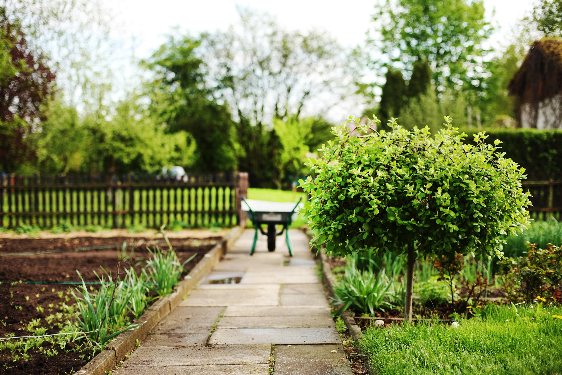 Professional Landscaping Work